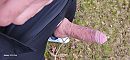 Tussen Eindhoven en Lommel, foto 4000x1865, 1 reacties, 4 stemmen
