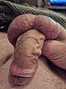 Twee ballen en een pik, foto 3000x4000, 1 reacties, 7 stemmen