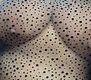Uitgestippeld, foto 2167x1927, 31 reacties, 106 stemmen