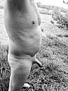 Vakantie, foto 2448x3264, 0 reacties, 7 stemmen