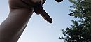 Van onderen......., foto 4000x1868, 0 reacties, 2 stemmen