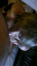 Vervolg..., film 00:00:05, 7 reacties, 29 stemmen