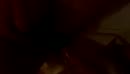 Visten, film 00:00:00, 2 reacties, 12 stemmen