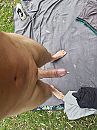 Vlietlanden nu, foto 3000x4000, 0 reacties, 3 stemmen