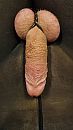 Voel me geil en mooi., foto 2250x4000, 1 reacties, 6 stemmen
