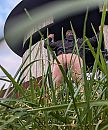 Vogelspotplaats, foto 2275x2736, 2 reacties, 6 stemmen