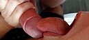 Vol overgave….!, foto 1280x576, 4 reacties, 22 stemmen