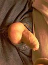 Volle ballen, foto 450x600, 8 reacties, 19 stemmen