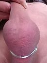 Volle zak, foto 3000x4000, 2 reacties, 4 stemmen