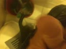 Voor Anne, film 00:00:00, 1 reacties, 4 stemmen