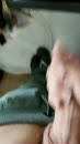 Voor Jenn, film 00:00:20, 20 reacties, 50 stemmen