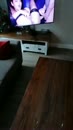 Voor Mariska, film 00:00:00, 8 reacties, 21 stemmen