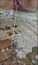 Voor de liefhebbers, film 00:00:21, 40 reacties, 144 stemmen