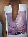 Voor BDSM duo, foto 3000x4000, 3 reacties, 5 stemmen