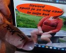 Voor José, foto 800x650, 1 reacties, 5 stemmen