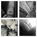 Voor de liefhebbers…., foto 2400x2400, 5 reacties, 8 stemmen