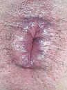 Voor de liefhebbers, foto 1595x2126, 3 reacties, 9 stemmen