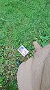 Voor haar, foto 2250x4000, 1 reacties, 5 stemmen