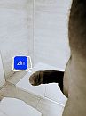 Voor t douchen, foto 3000x4000, 4 reacties, 12 stemmen