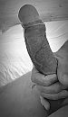 Voor, foto 550x942, 3 reacties, 8 stemmen