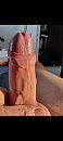 Voorvocht, foto 1080x2400, 3 reacties, 22 stemmen