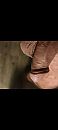 Vrede, foto 1080x2400, 0 reacties, 3 stemmen