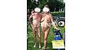 WNBR Amsterdam 2022, foto 1096x600, 9 reacties, 61 stemmen