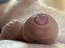 Wakker worden 2, foto 4000x3000, 0 reacties, 2 stemmen