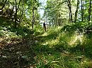 Wandeling Concoules (F), foto 800x600, 0 reacties, 3 stemmen
