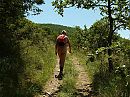 Wandeling Saint-Germain (F), foto 800x600, 1 reacties, 10 stemmen