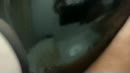 Was weer heerlijk, film 00:00:25, 18 reacties, 88 stemmen