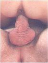Wat een heerlijke kut en, foto 137x177, 0 reacties, 6 stemmen