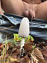 Wat is de natuur toch mooi, foto 2316x3088, 5 reacties, 16 stemmen