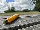 Wat zou hier mee gebeurd zijn?, foto 4000x3000, 7 reacties, 11 stemmen