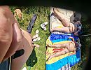We zijn er weer, foto 4000x3087, 7 reacties, 28 stemmen
