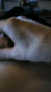 Weer lekker nat, film 00:00:27, 2 reacties, 5 stemmen
