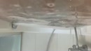 Weer lekker schoon!, film 00:00:08, 1 reacties, 9 stemmen