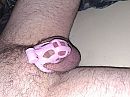Weer gekooit, foto 4000x3000, 8 reacties, 12 stemmen