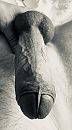 Weer lekker hard, foto 929x1671, 3 reacties, 6 stemmen