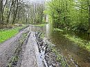 Weg naar laakse strand, foto 4000x3000, 6 reacties, 10 stemmen
