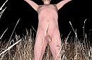 Weiland #3, foto 2192x1420, 4 reacties, 14 stemmen