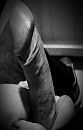 Welk stel.of.dame.wil, foto 473x735, 5 reacties, 7 stemmen