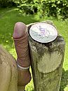 Welke paal kies je?, foto 3000x4000, 4 reacties, 22 stemmen
