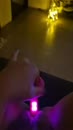 Wie wil delen?, film 00:00:12, 21 reacties, 124 stemmen