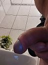 Wie oh wie, foto 1980x2640, 1 reacties, 2 stemmen