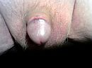Wie speelt er mee, foto 1280x960, 3 reacties, 9 stemmen