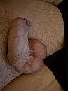 Wie weet, foto 3000x4000, 1 reacties, 2 stemmen