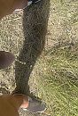 Wildplassen, foto 1693x2482, 3 reacties, 8 stemmen