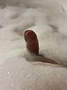 Winters penislandschap, foto 2160x2880, 0 reacties, 4 stemmen