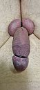 Wordt al paars., foto 1801x4000, 0 reacties, 6 stemmen